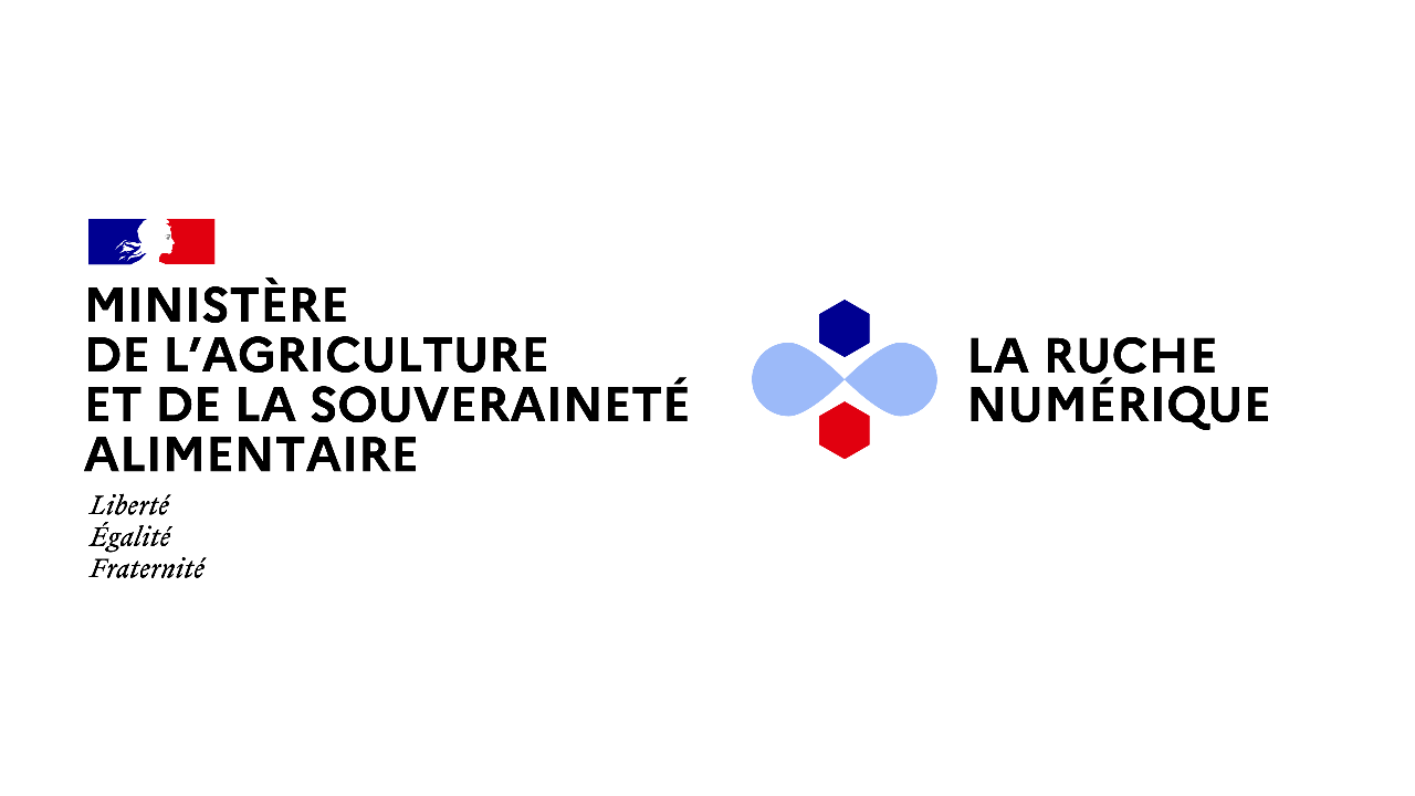 pres-ruche-numérique