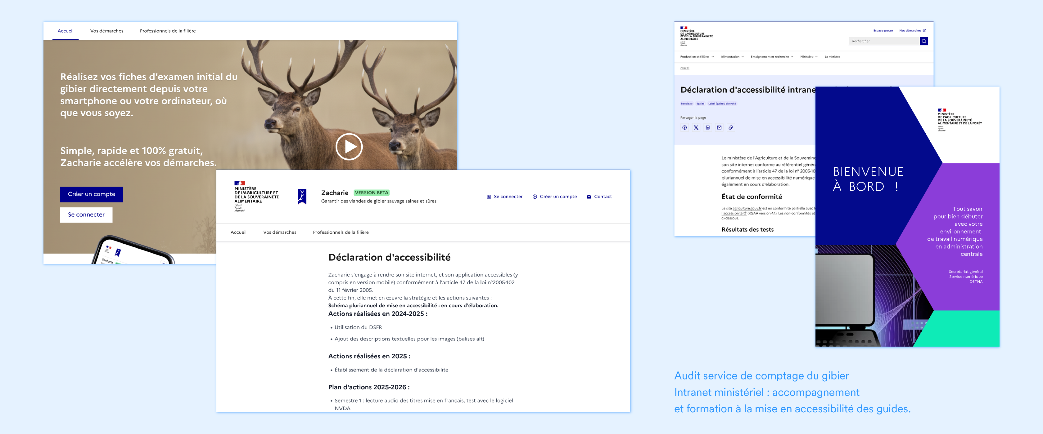 ruche-numérique-accessibilité-zacharie-agriculture-etna-dicom